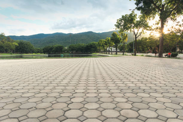 Best Brick Driveway Pavers  in Waskom, TX