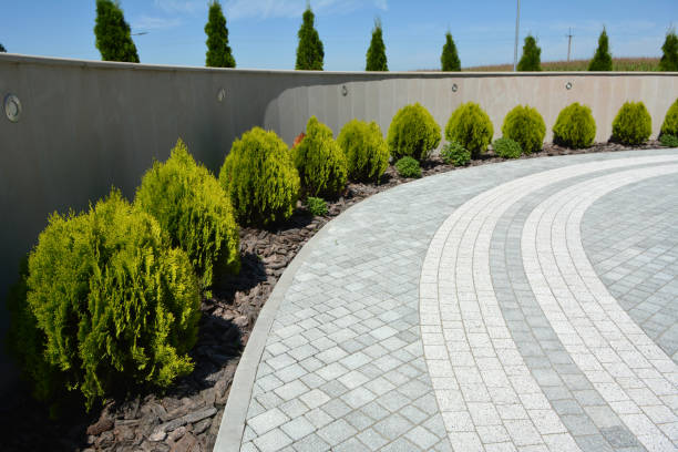 Best Professional Driveway Pavers  in Waskom, TX